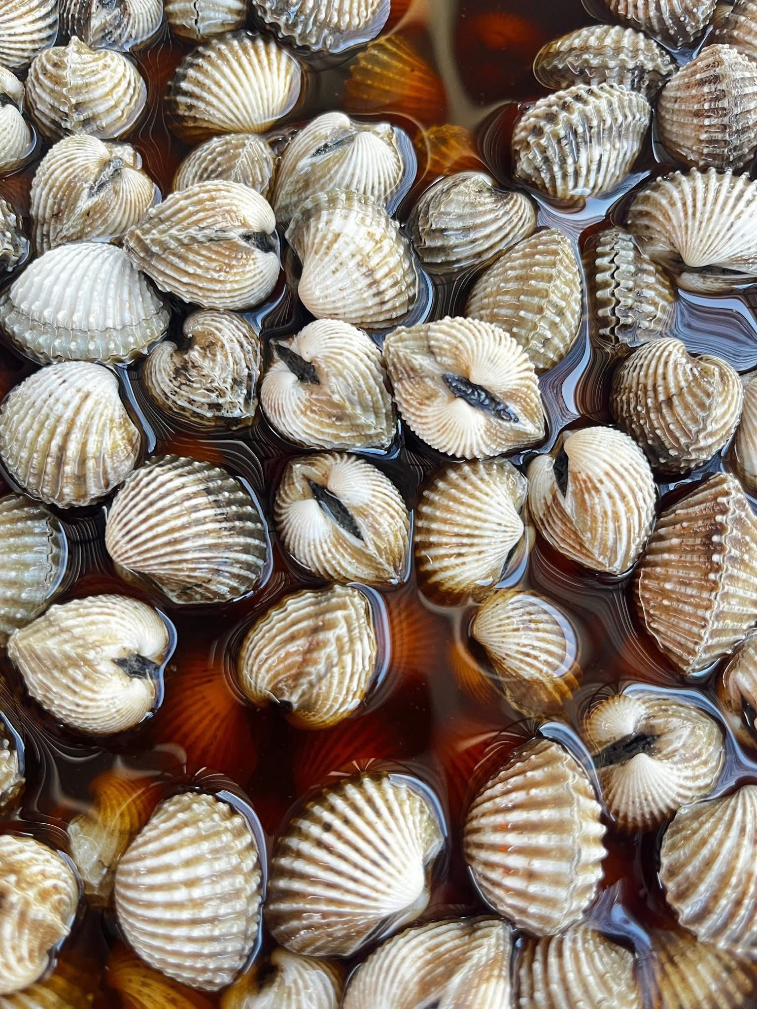 622517525_2337613289995815_8765587892826471347_n