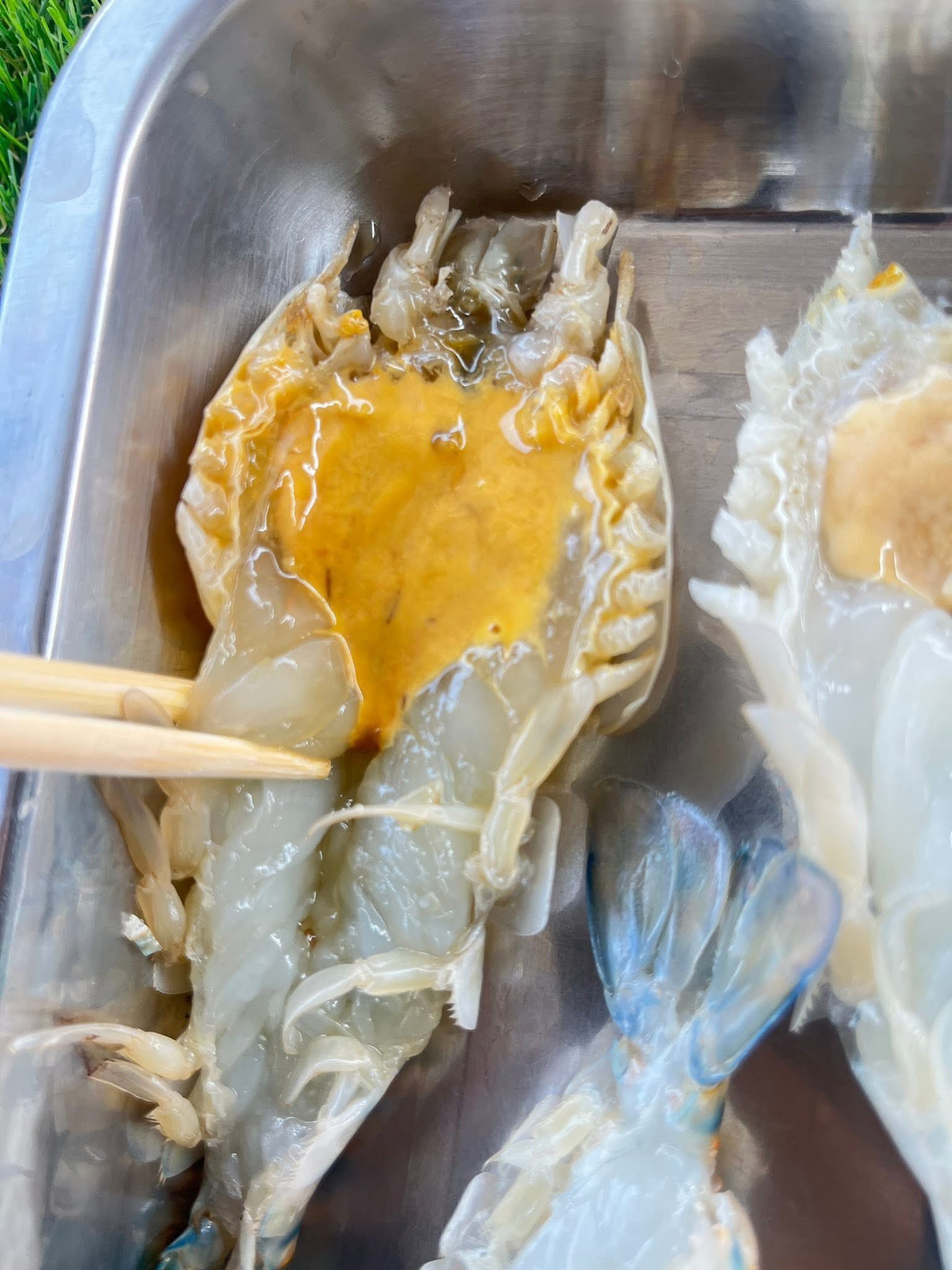 622681461_2337613259995818_2914263477100862659_n