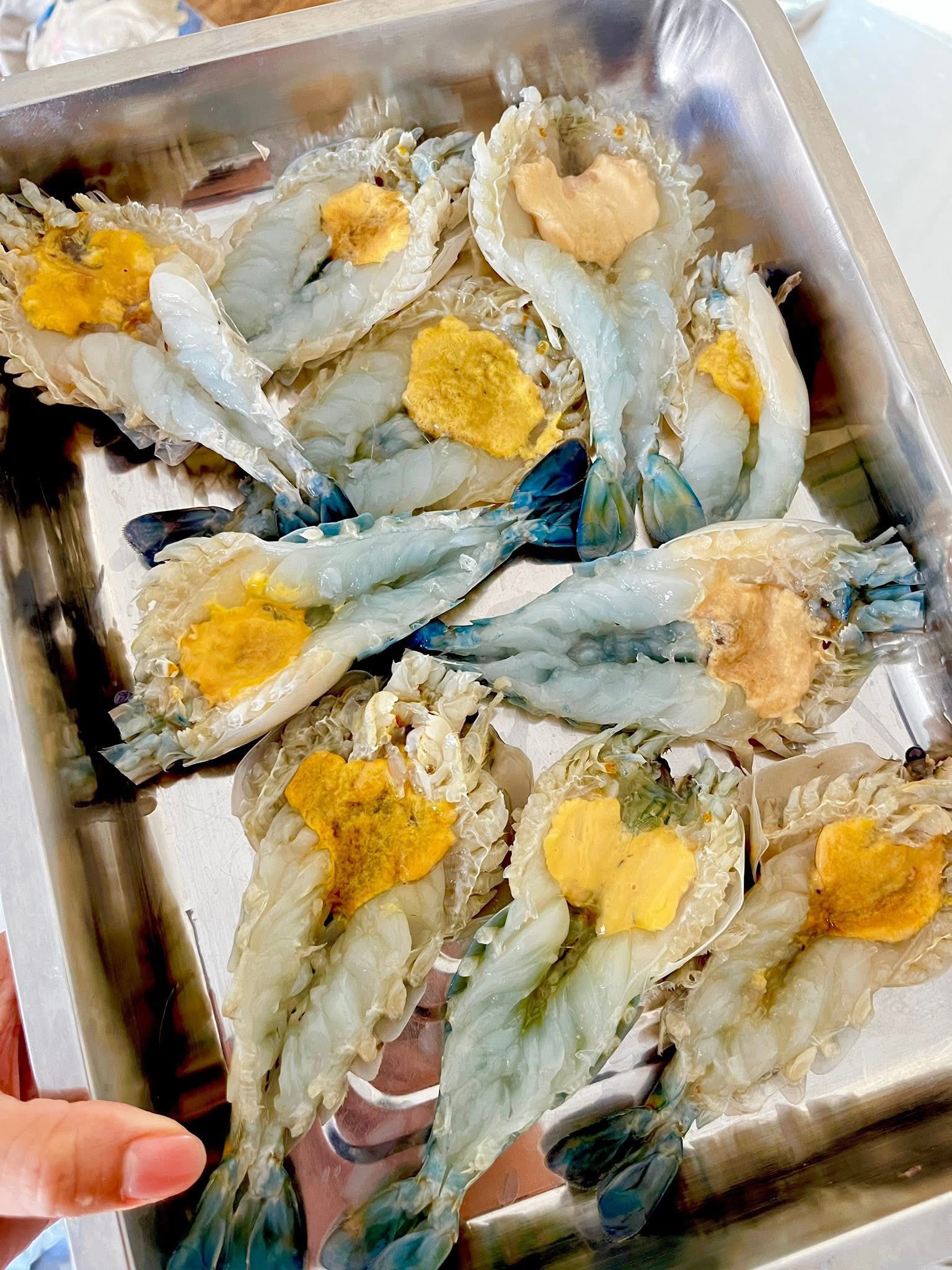 623290721_2337613306662480_8104692497268314242_n